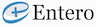 Entero Healthcare Solutions Limited IPO