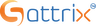 Sattrix Information Security Limited IPO (Sattrix IPO)