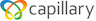 Capillary Technologies IPO