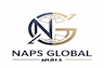 NAPS Global India IPO