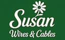Susan Electricals India IPO